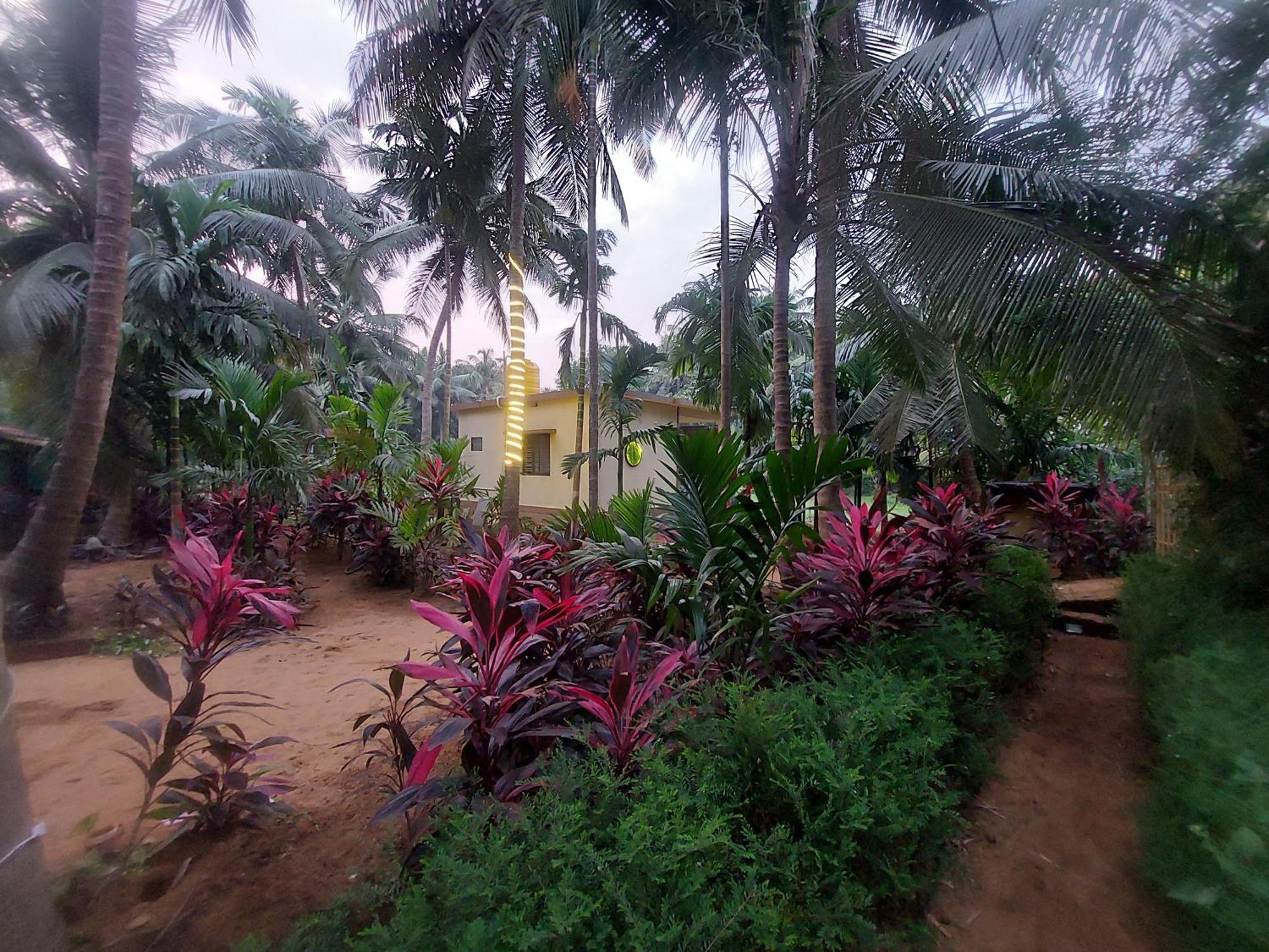 Areca Nest Villa Gokarna  Ngoại thất bức ảnh