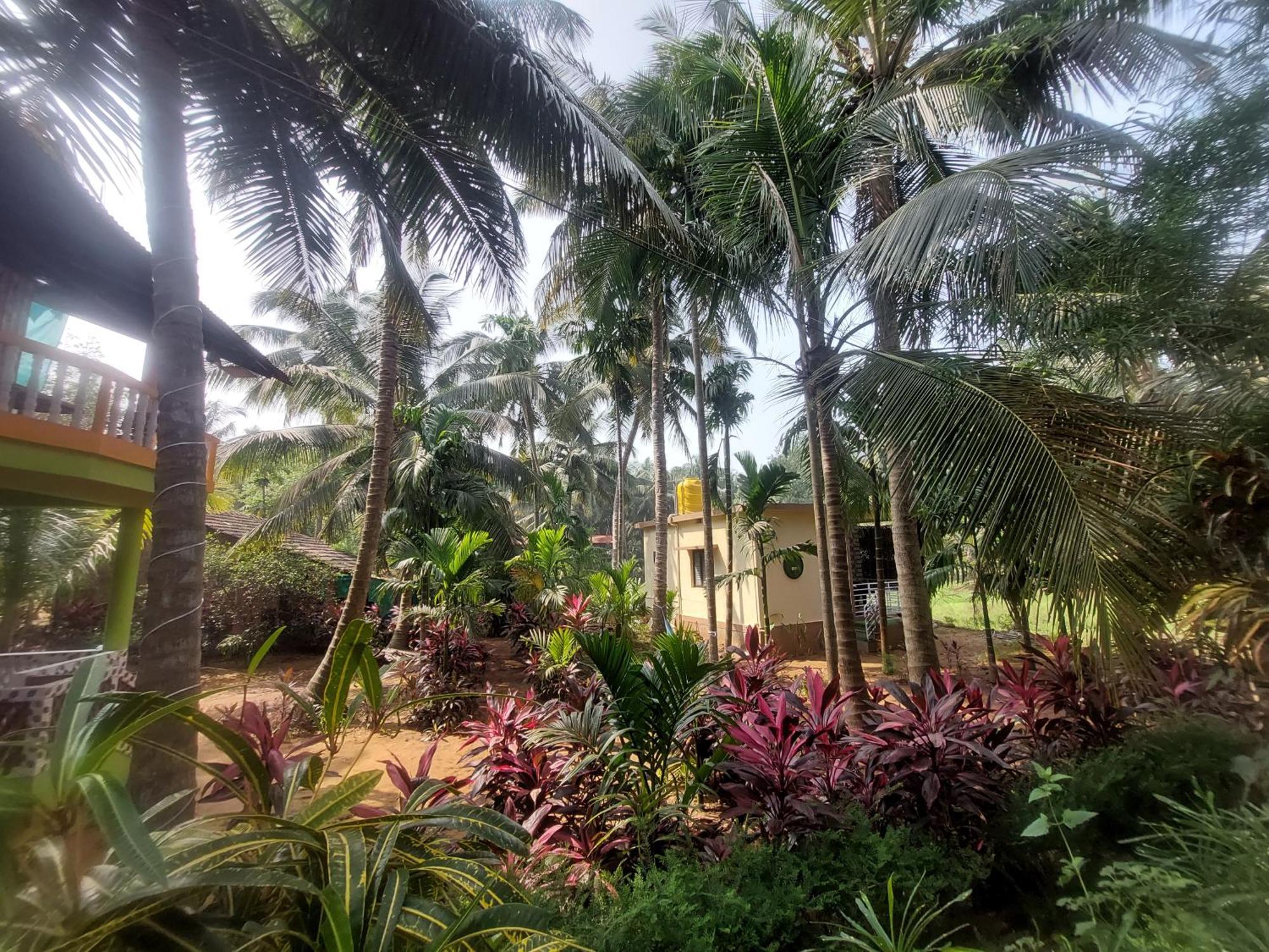 Areca Nest Villa Gokarna  Ngoại thất bức ảnh
