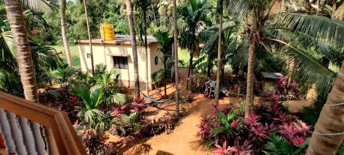 Areca Nest Villa Gokarna  Ngoại thất bức ảnh